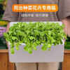 Vegetable plant planting extra large foam box warehouse indoor vegetable growing box household flower and vegetable special foam box rectangular flower pot store hot sale medium planting box thickened * 3