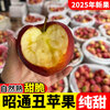 2025 Authentic Yunnan Zhaotong Rock Candy Apple Fresh Fruit Apple Seasonal Crisp Sweet Fruit Origin Straight Hair 5 Jin Packed Large Fruit (80-90mm)