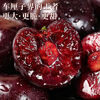 Sanmeng fruits and vegetables Chilean cherries JD SF - next-day delivery to many places Big cherry imported fruit gift box for New Year's gift 5 pounds (net weight) The most cost-effective - Cherry freedom Enjoy the gift box Black diamond level | Crisp and sweet 4J Super Fruit King 32-34mm