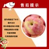 Jingmi Shaanxi Red Fuji Ugly Apple, net weight 4.5 catties, single fruit 180+, fresh fruit, straight from the source