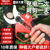 DELIXI branch scissors, electric electric pruning shears, lithium-ion pruning shears for fruit trees, rechargeable garden special pruning tool, speed shear king 2.0Ah brushless economic version 1 battery