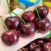 Sanmeng fruits and vegetables Chilean cherries JD SF - next-day delivery to many places Big cherry imported fruit gift box for New Year's gift 5 pounds (net weight) The most cost-effective - Cherry freedom Enjoy the gift box Black diamond level | Crisp and sweet 4J Super Fruit King 32-34mm