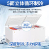Haier freezer large capacity - 38 degrees ultra-low temperature fully frozen commercial freezer household refrigeration and freezing dual-purpose quick-freezing freezer 300/400/500 liters and above 629 liters huge power saving丨-38丨electronic temperature control 629L