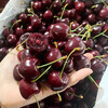 Chilean Cherry Crispy Sweet Imported Fruit Gift Box for Pregnant Women 250g (net weight) 3J Huihui 30-32mm Sweet