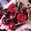 Chilean Cherry Crispy Sweet Imported Fruit Gift Box for Pregnant Women 250g (net weight) 3J Huihui 30-32mm Sweet