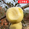 Jingdida Shandong Yantai Cream Fuji Apple, net weight 4.5 catties, single fruit 75mm+, direct shipping from the fruit source, free shipping