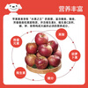 Jingmi Yunnan Zhaotong ugly apple, net weight 4.5 catties, single fruit 75mm+, Fuji apple rock candy heart straight from the source