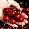 Youyi Chilean cherries, imported cherries, JD SF Express next-day delivery in many places, fresh fruits for pregnant women, New Year gift box, 5 pounds (net weight) 3JJJ grade, single fruit 30-32mm