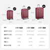 DELSEY Trolley Case French Ambassador 20-Inch Suitcase Carry-on Case Suitcase Code Lock Silent Wheel