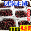 Chilean cherries packed with random crispy and sweet imported fruit gift box for pregnant women 2 pounds (net weight) J Value for money 26-28mm crispy and sweet