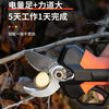 Old man pioneer KOTESO electric pruning shears lithium battery garden rechargeable fruit tree pruning electric shears + 4 points 0 anti-cut hands, two batteries and one charge, comes with blade + hand saw + sharpener + pocket