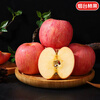 Jingdida Yantai Qixia Red Fuji apple net weight 4.5 catties medium fruit 200g fresh fruit direct from the source with free shipping