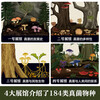Museum of Miracles Series Mushroom Museum Fun 7-year-old + Children's Popular Science Encyclopedia Primary School Students Extracurricular Reading Book Revealing the Secrets of Fungi