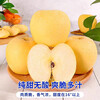 Dalian Cream Fuji Venus Apple Fresh Fruit Cream Yellow Fuji Rock Candy Heart Apple Freshly Picked Fruit Whole Box 10 Jin Net Weight 8 Jin 80-85mm