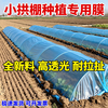 Agricultural plastic film, small shed film, dripping film, special film for greenhouse planting, transparent vegetable growing plastic, thermal insulation and cold protection 4 silk blue dripping film, new material 6.5m*10m
