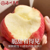 Luochuan apple Shaanxi Yan'an Red Fuji seasonal apple fruit gift box gift 40 pieces 80mm fruit diameter about 9.5kg 40 pieces 80
