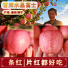 Ganmenong Tianshui Red Fuji Apple Gift Box Qinjingning Fuji Gansu Apple Strips Red Slices Red Fruit Crisp, Sweet and Juicy 9-10 Large Fruits 5 Jin (Single Fruit 230g+)