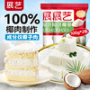 Zhanyi Coconut Shredded Coconut Cream Small Bread Glutinous Rice Cake Coconut Crushed Mooncake Filling Coconut Milk Baking Special Powder Home Taste Coconut 100g*2 Bags