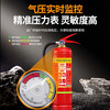 Tangan dry powder fire extinguisher 25 years new national standard vehicle-mounted household commercial portable national fire protection 3C certification 4KG
