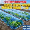 Agricultural plastic film, small shed film, dripping film, special film for greenhouse planting, transparent vegetable growing plastic, thermal insulation and cold protection 4 silk blue dripping film, new material 6.5m*10m