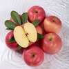 Jingxiansheng Shandong Yantai Red Fuji Apples 8 pounds, fruit diameter starting from 80mm, fresh fruit, direct shipping from the source, free shipping
