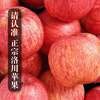 Luochuan apple Shaanxi Yan'an Red Fuji seasonal apple fruit gift box gift 40 pieces 80mm fruit diameter about 9.5kg 40 pieces 80