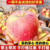 Authentic Aksu rock candy heart apples, crispy, sweet, juicy and sweet, selected Xinjiang ugly apples, fresh in season, whole box, free shipping, 5 catties (single fruit, 75-79)