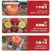Xinjiang Aksu Rock Candy Heart Apple Fresh Fruit Pregnant Women Big Fruit Red Fuji Ugly Big Apple Seasonal Box 18 Jin 85mm-90mm