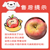 Jingxiansheng Shanxi rock candy heart apple, net weight 4.5 catties, single fruit 80mm+, fresh fruit straight from the source