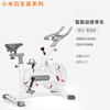 Xiaomi Shi Spinning Bike Home Exercise Bike Sports Equipment Indoor Bike Fitness Bike Fitness Equipment Black APP Model