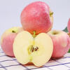 Jingxiansheng Shaanxi Red Fuji Apple, net weight 8 pounds, single fruit 75mm+, fresh fruit, straight from the source