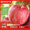 Quan Shenglong Shaanxi Baishui Red Fuji Apple 2025 New Fruit Seasonal Fruit Crisp and Sweet Optional Festival Gift Box Red Fuji 4.5 catties 75-80mm