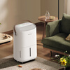 PARKOO dehumidifier/dehumidifier, dehumidification capacity 12 liters/day, household soft sound moisture absorber, basement dryer, dry clothes purification, White Fatty Series PD22SA-12