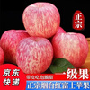 Jingdida Shandong Yantai Qixia Red Fuji Apple, net weight 4.5 catties, single fruit 180g+, free shipping directly from the source of the fruit