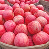 Red Fuji Apple Fresh Fruit Red Fuji Crisp Sweet Rock Candy Heart 2025 Season Full Box 10 Jin 5 Jin Free Shipping Full Box 10 Jin 80-85mm