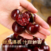 Mengwanyi imported cherries from Chile JD/SF Express next-day delivery in multiple places, 5kg Santina fruit large cherries 3kg (net weight) boutique gift box, extra large fruit 2J, single fruit 28-30mm