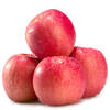 Jingdida Shandong Yantai Qixia Red Fuji Apple, net weight 4.5 catties, single fruit 180g+, free shipping directly from the source of the fruit