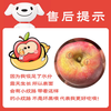 Xianhehuiyou domestic Fuji apple fresh fruit, the whole box is about 5.5-4.7 catties/net content 2000g