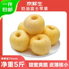 Beijing Fresh Shandong Cream Fuji Apple Net Weight 5 Jin Single Fruit 170g Fresh Fruit Directly from the Source with Free Shipping
