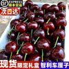 Dakou Qiba Chile imported spot cherry black car large cherry fresh fruit cherry fresh gift box SF Express 2250g (net weight) boutique gift box with box 5 catties 2J 28mm (inclusive)-30mm (inclusive)