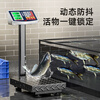 Dongmei charging platform weighing electronic scale commercial platform scale floor-standing vegetable selling electronic scale cargo scale pricing large industrial counting express scale
