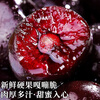 Meiyuexian champion quality Chilean cherries gift box imported cherries, gift group purchase, SF part next day delivery, 5 catties (net weight), pre-sale original box without unpacking to keep fresher, Big Mac 3J, single fruit 10-12g