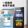 CHIGO Ice Bar Small Household Large Capacity Refrigerator Fresh Cabinet Transparent Beverage Refrigerator Office Red Wine Tea 55L Fully Refrigerated + Locked