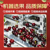 Bajiguo Gold Award Chilean Cherry Selection Gift Box Imported Large Cherry VIP Group Purchase Business Gift SF Direct Delivery 4 Jin (Net Weight) Gift Box Large Fruit J Single Fruit 6-8g