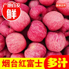 Jingdida Shandong Yantai Qixia Red Fuji Apple, net weight 4.5 catties, single fruit 180g+, free shipping directly from the source of the fruit