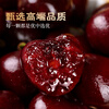 Mengwanyi imported cherries from Chile JD/SF Express next-day delivery in multiple places, 5kg Santina fruit large cherries 3kg (net weight) boutique gift box, extra large fruit 2J, single fruit 28-30mm