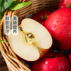 Ruixiang Sweetheart Apple 2 pieces 500g