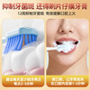 Pien Tze Huang Toothpaste cleans gums, protects gums, freshens breath and cares for the mouth, Mint 195g