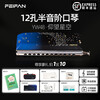 Feifan Feifan chromatic harmonica starry sky Yw48 professional performance novice 12-hole C key adult beginner student introduction