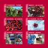 Goodfarmer Chilean cherries 2J grade 5kg gift box, fruit diameter about 28-30mm, straight from the source of the fruit